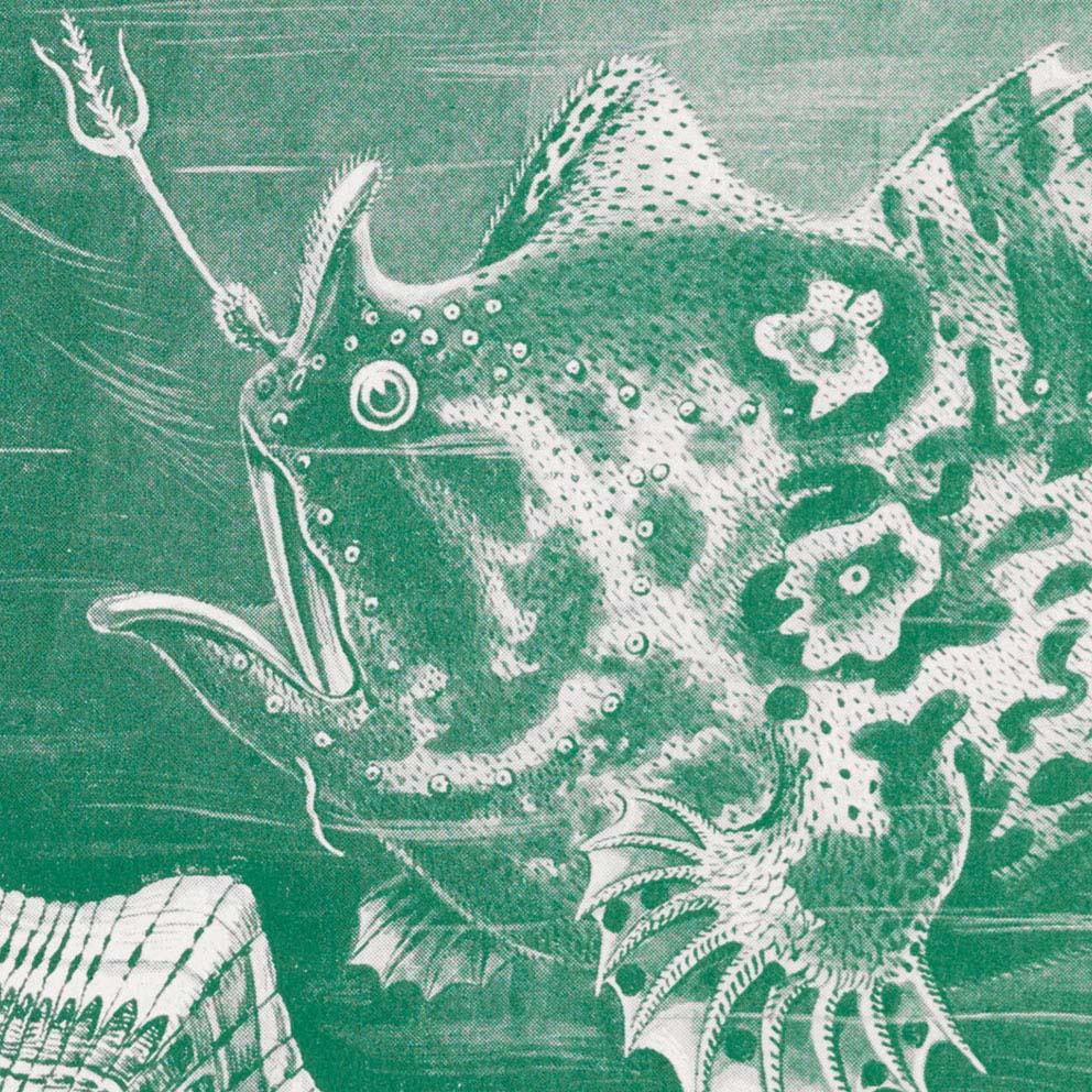 Teleostei by Ernst Haeckel Poster