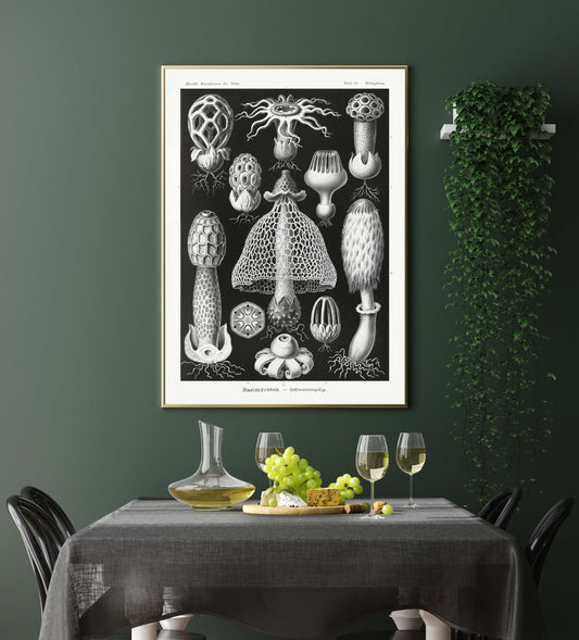 Basimycetes by Ernst Haeckel Poster