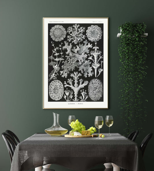 Lichenes by Ernst Haeckel Poster