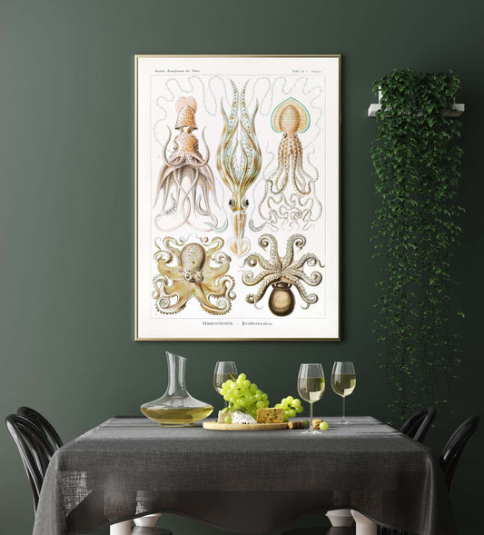 Gamochonia by Ernst Haeckel Poster with borders