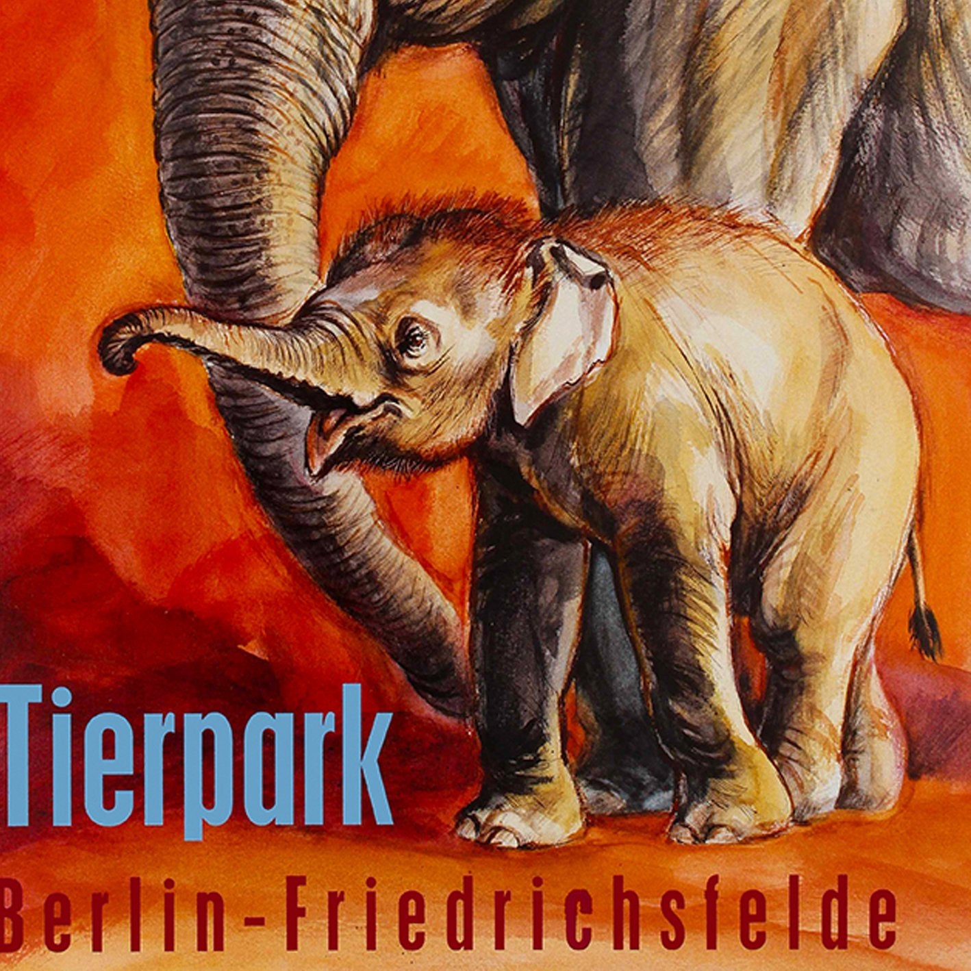 Zoo Tierpark Berlin Elephant