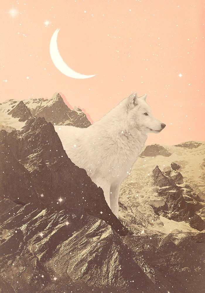 Giant White Wolf in Mountain by Florant Bodart