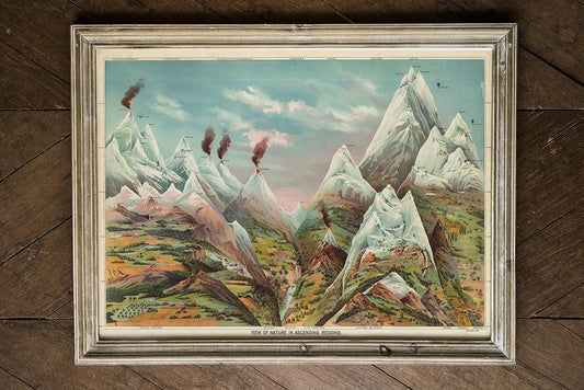 Nature in Ascending Regions Educational Vintage Poster