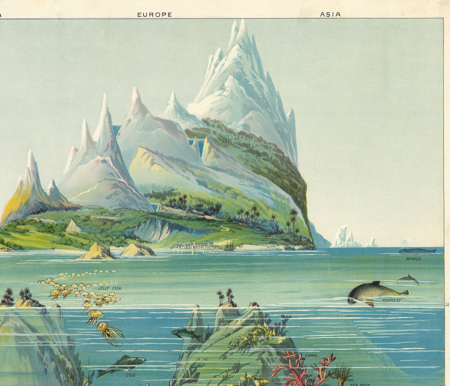Nature in descending Regions Educational Vintage Chart