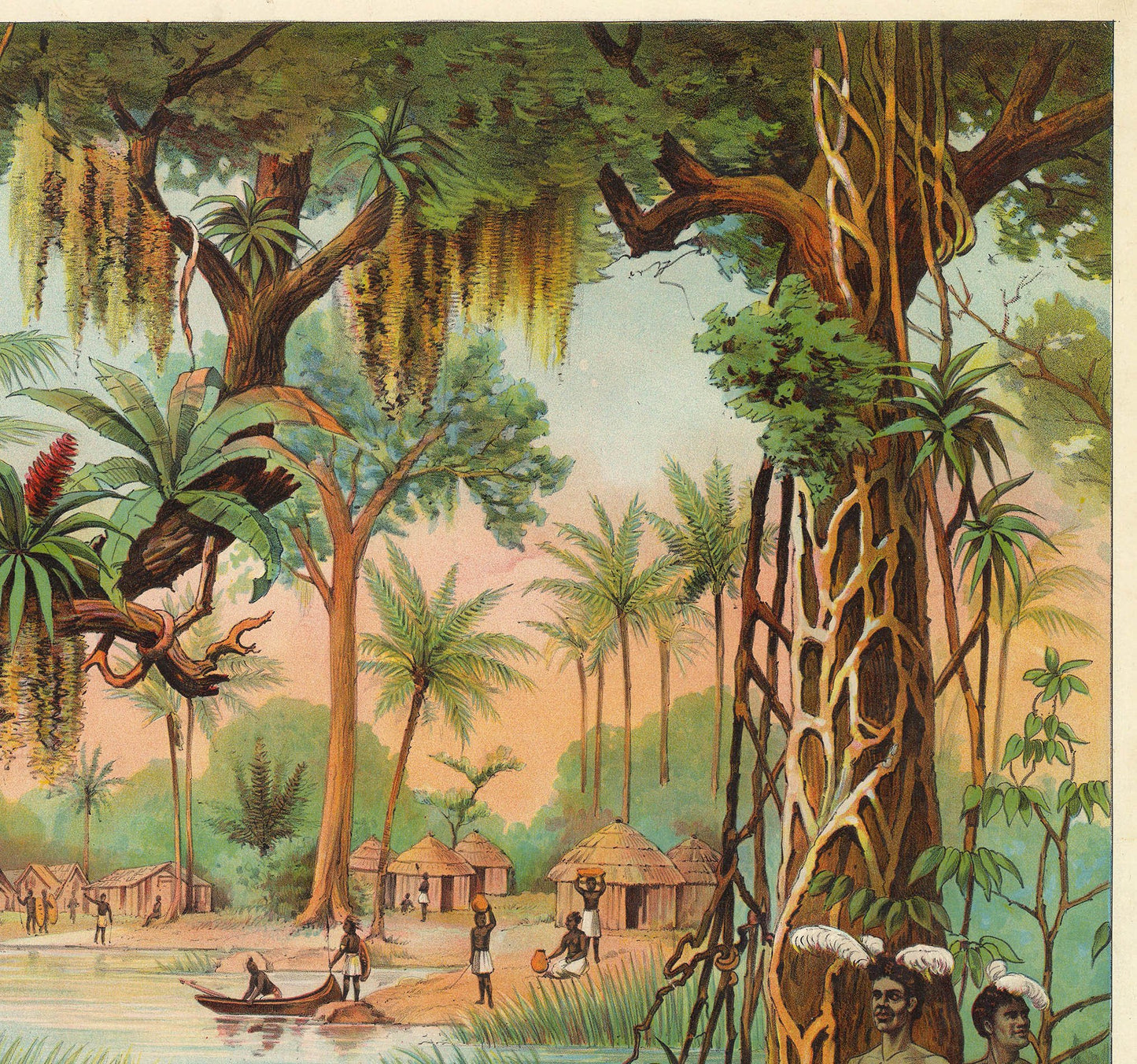 Tropical Zone Educational Vintage Poster