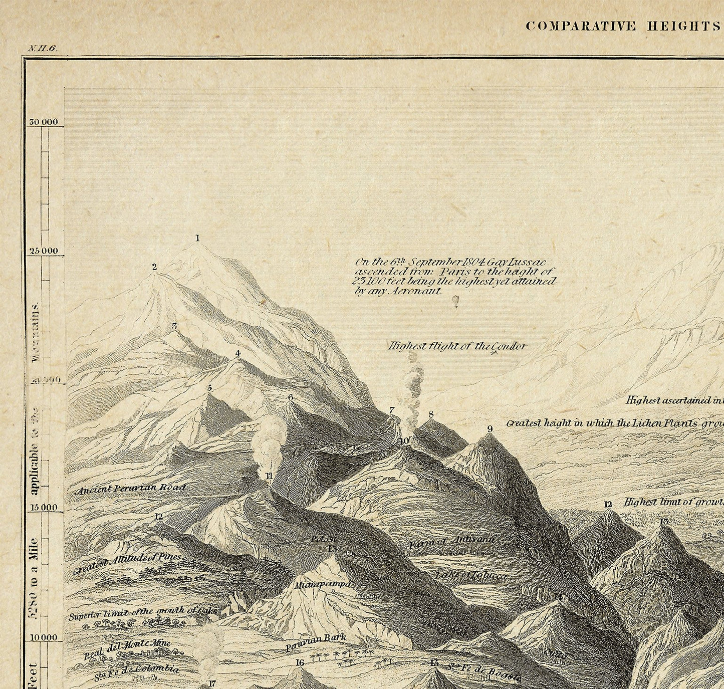 Comparative Height of Mountains Vintage Poster - Scientific Illustration