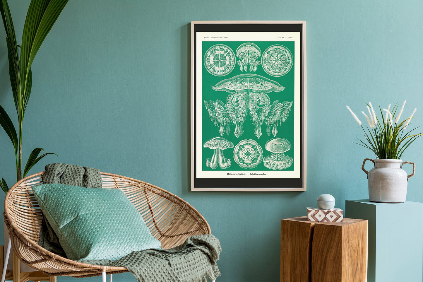 Discomedusae Green Jellyfish by Ernst Haeckel Poster with borders
