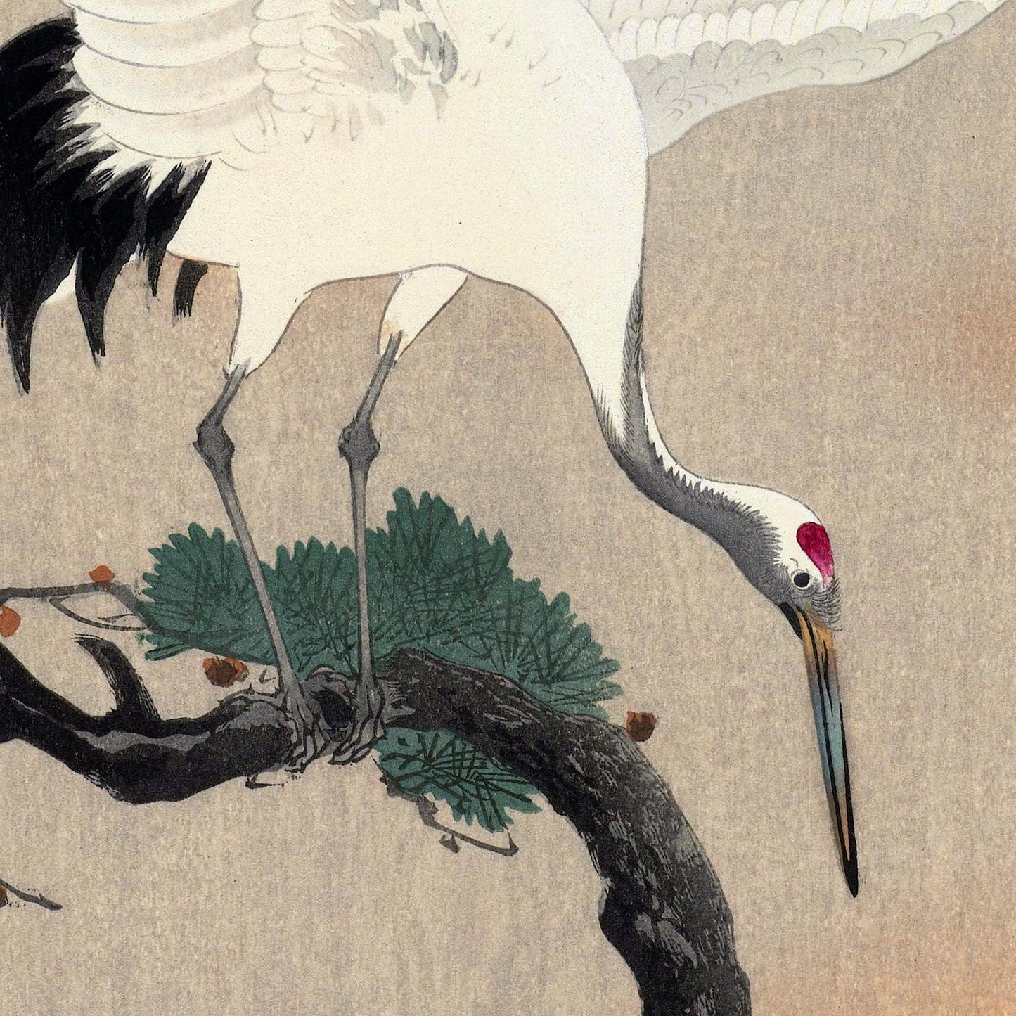 Japanese Crane with babies by Koson Wall Hanging
