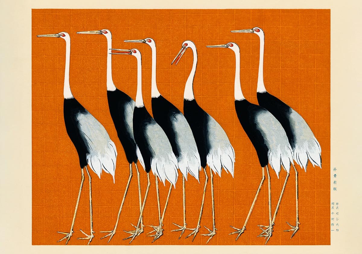 7 Birds by Korin in Orange