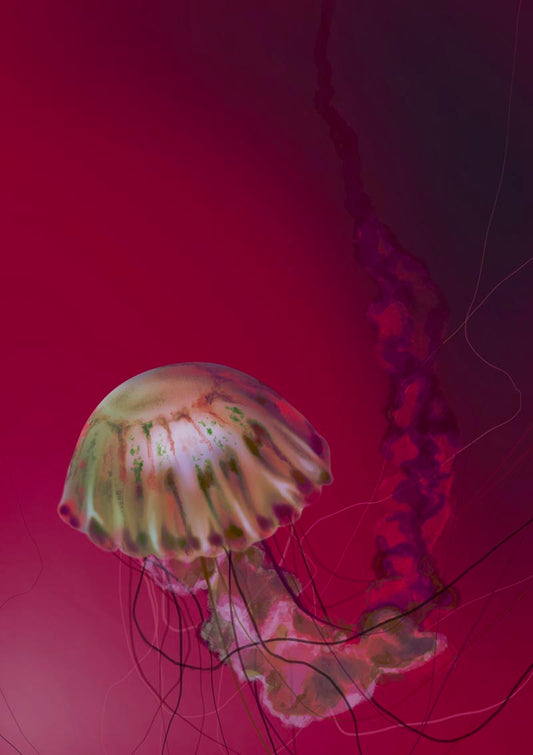 Fire Starter Jellyfish Wall Art Print by Julia Charlott