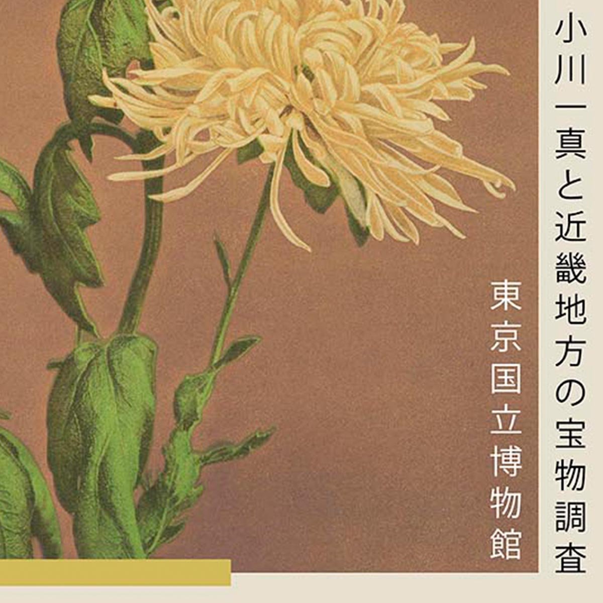 Three Yellow Chrysanthemum by Kazumasa Exhibition Poster