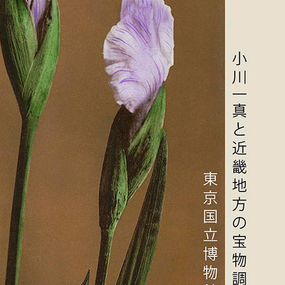Three Iris Kæmpferi by Kazumasa Exhibition Poster