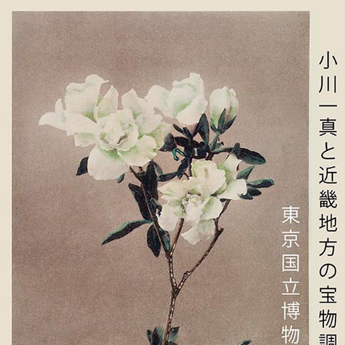 Group of Azaleas by Kazumasa Exhibition Poster