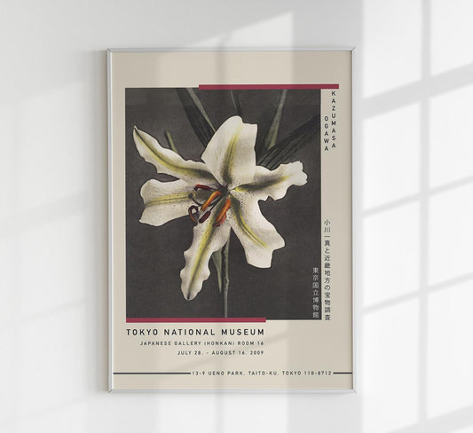 White Lily in the Dark by Kazumasa Exhibition Poster
