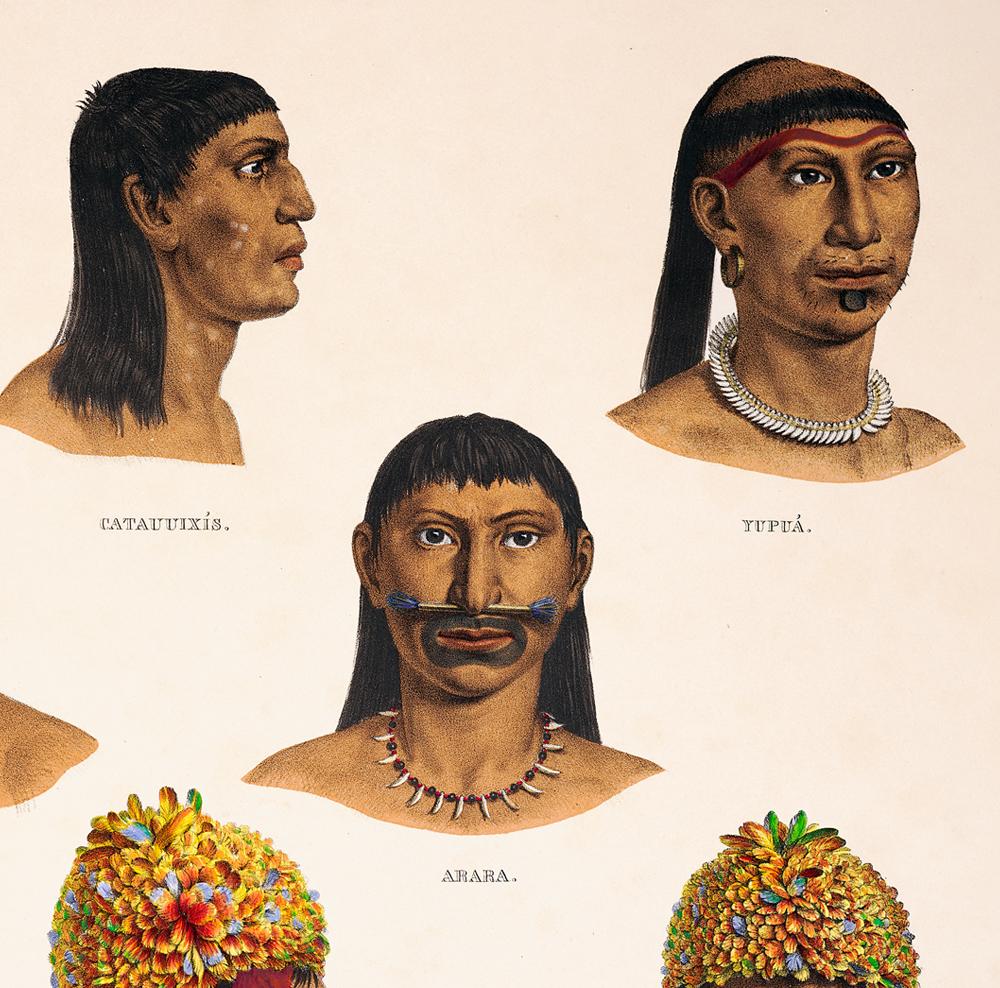 Brazilian Indigenous Anthropology Chart Vintage Poster