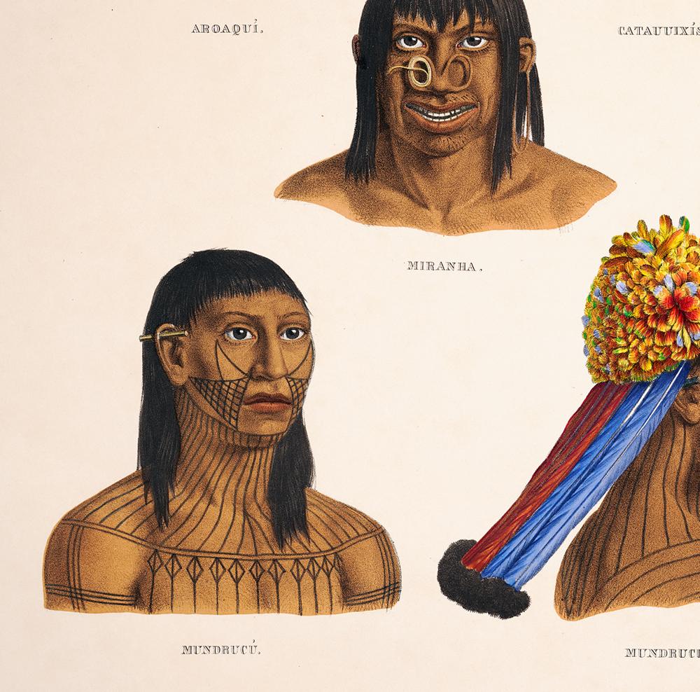 Brazilian Indigenous Anthropology Chart Vintage Poster