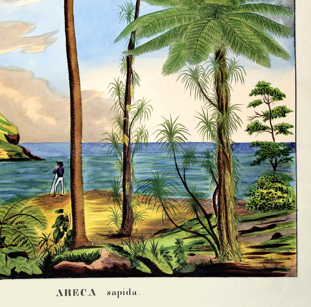 Areca Sapida Beach Scene Vintage Poster