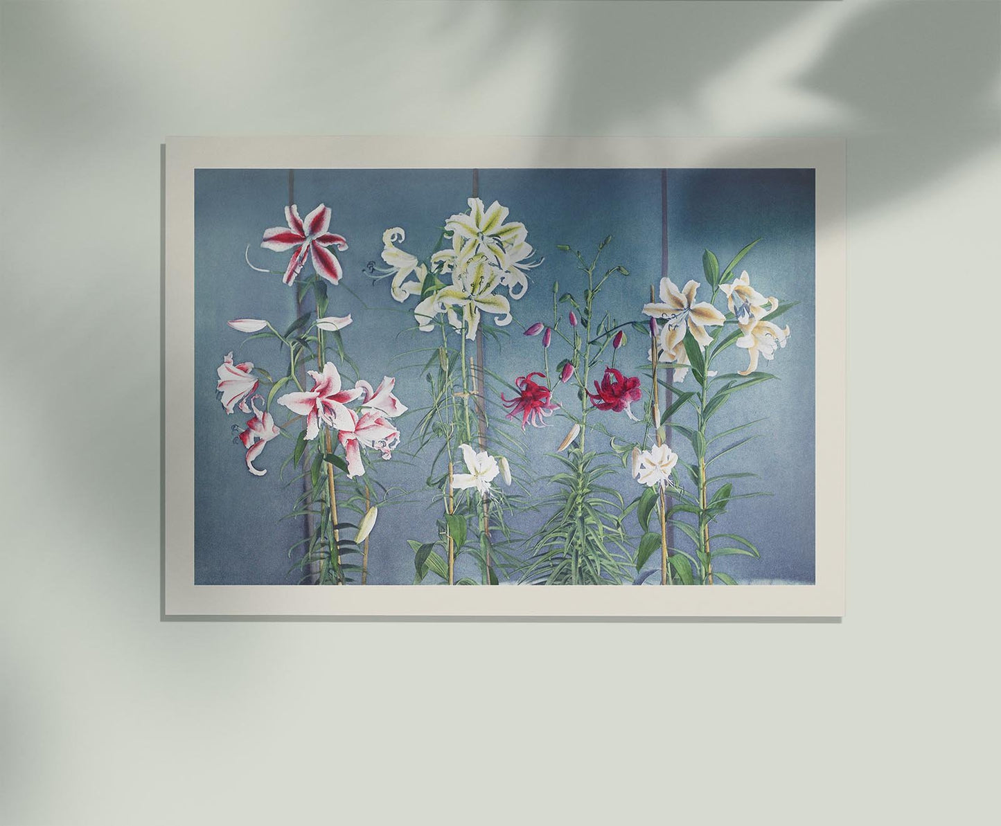 Lily Chart Nr 2 by Ogawa Kazumasa