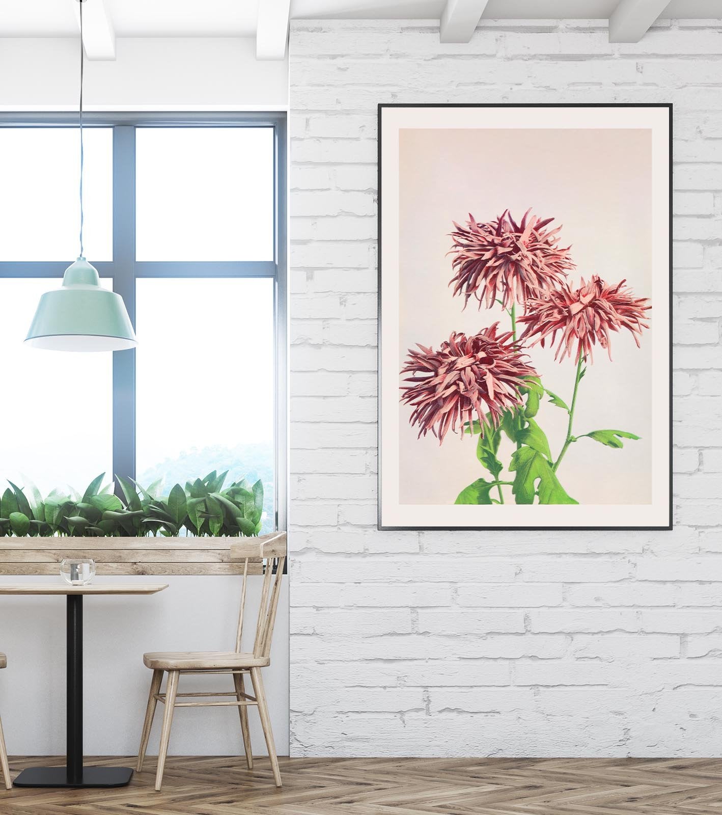 Three Pink Chrysanthemum by Ogawa Kazumasa