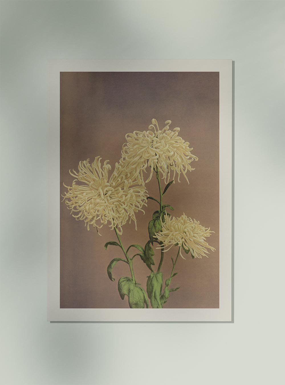 Three Yellow Chrysanthemum by Ogawa Kazumasa