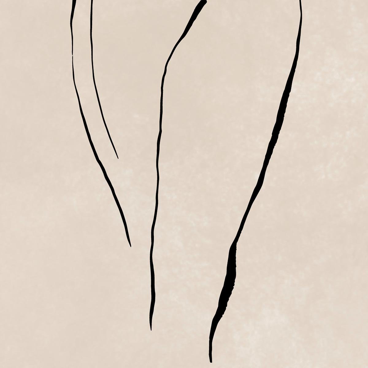 Female Body Line Drawing Nr 10