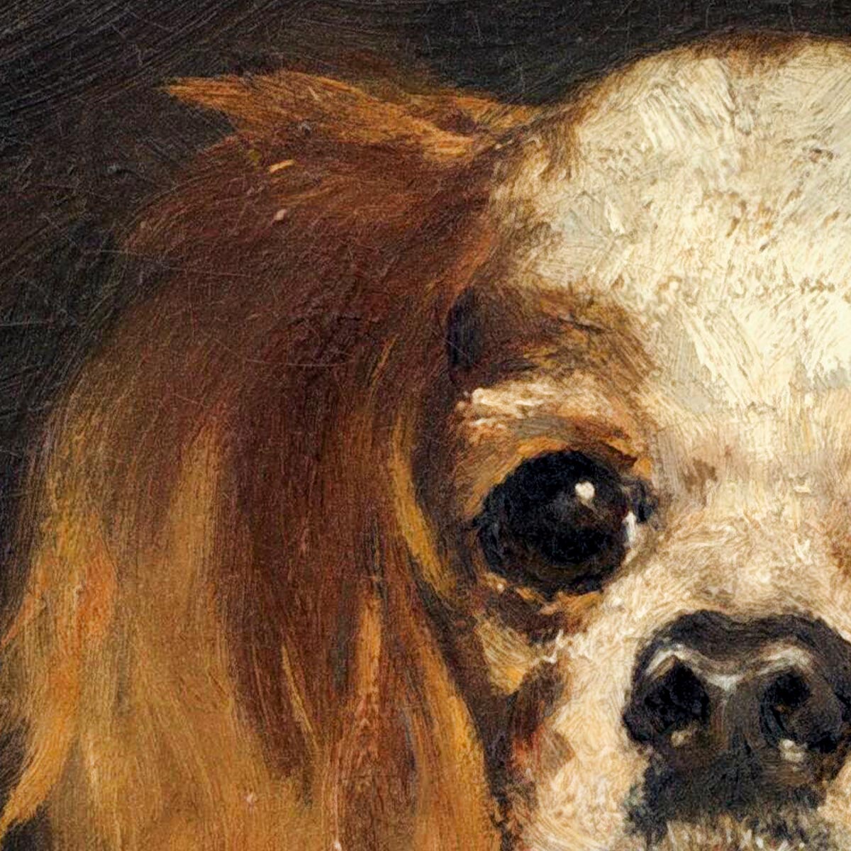 A King Charles Spaniel by Manet Exhibition Poster