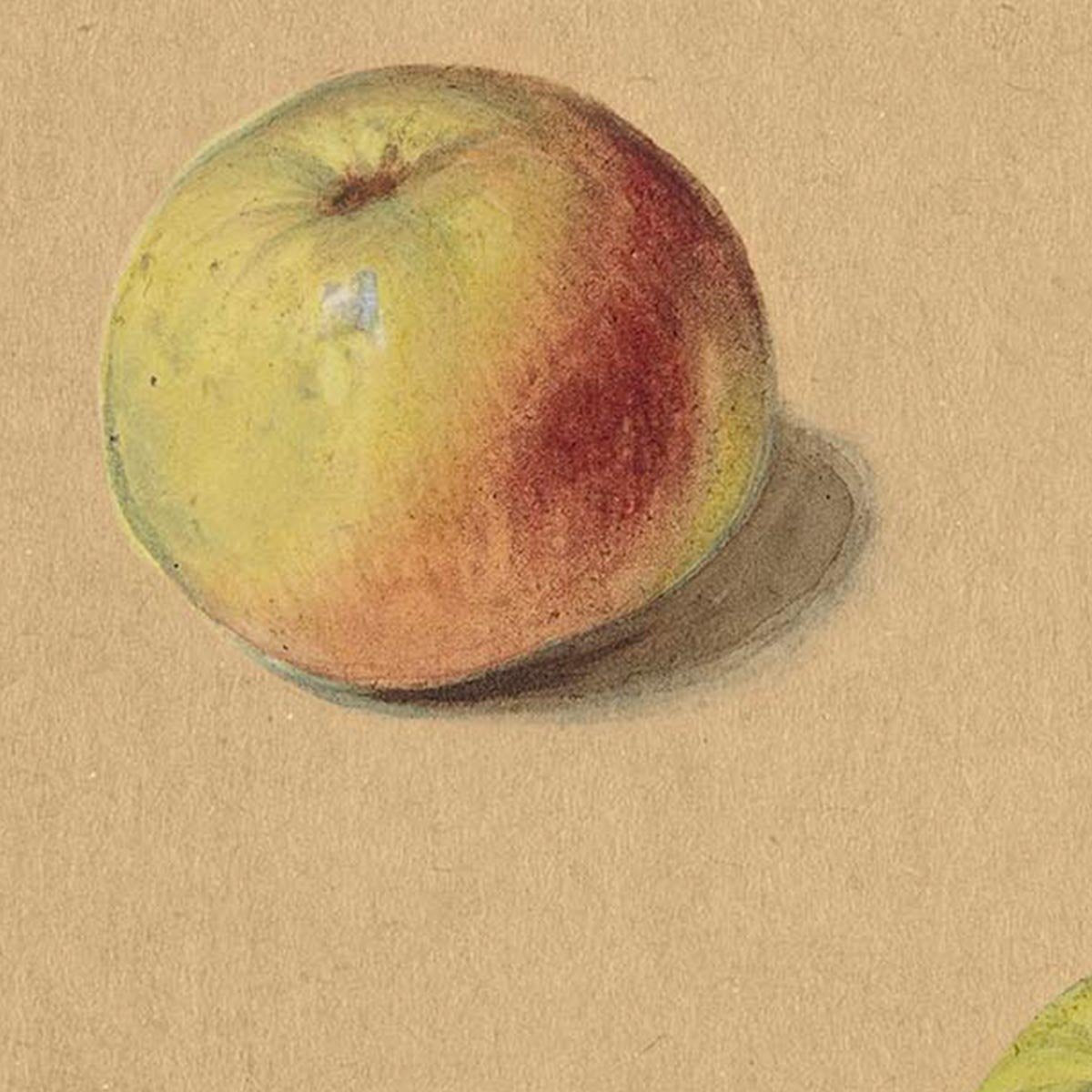 Two Apples by Manet Exhibition Poster