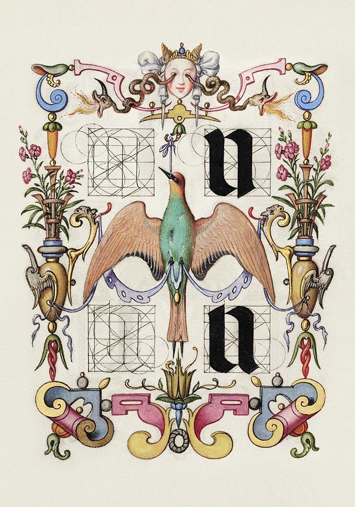 Botanical Calligraphy Poster Nr 2