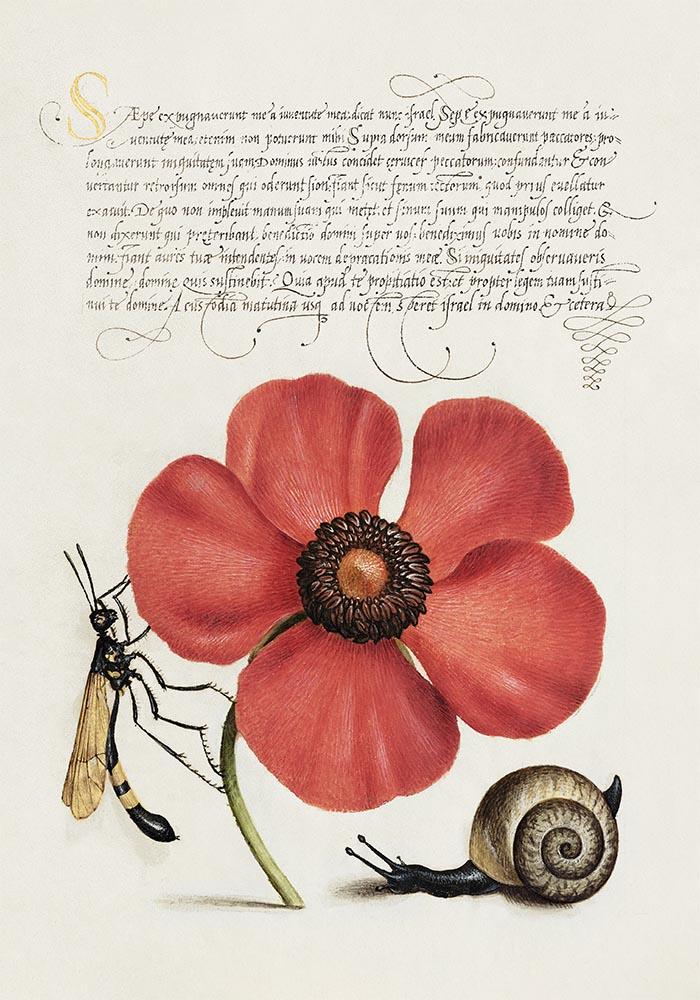Botanical Calligraphy Poster Nr 3