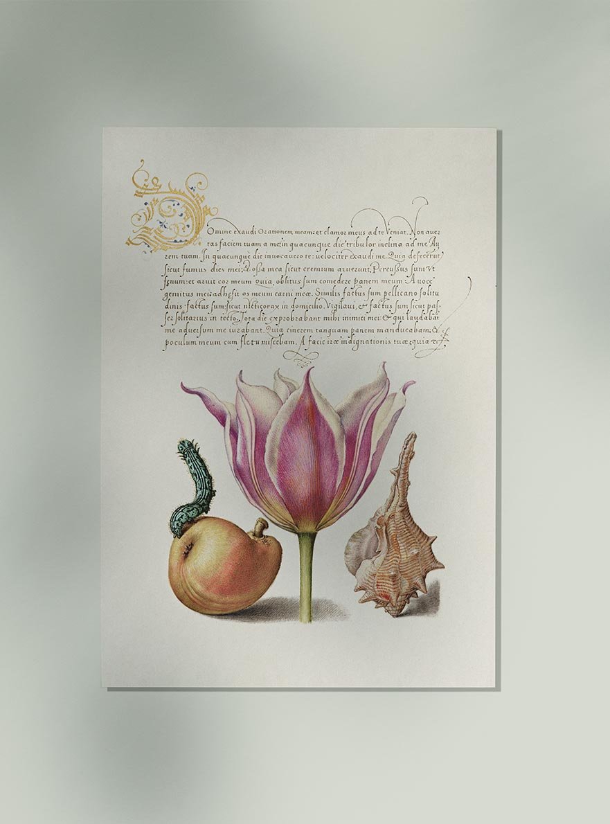 Botanical Calligraphy Poster Nr 6