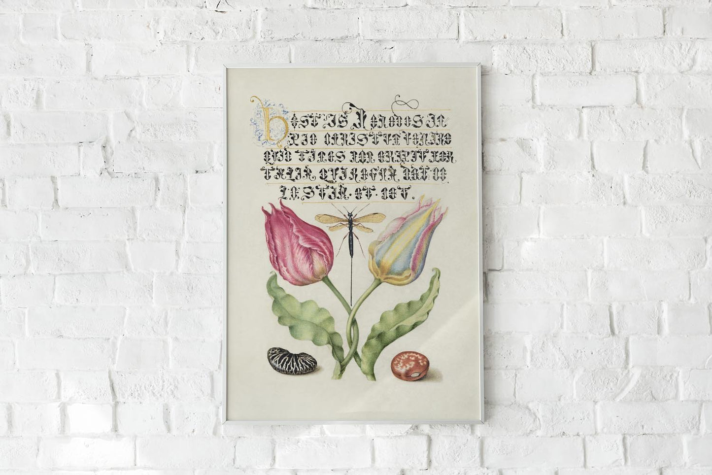 Botanical Calligraphy Poster Nr 7