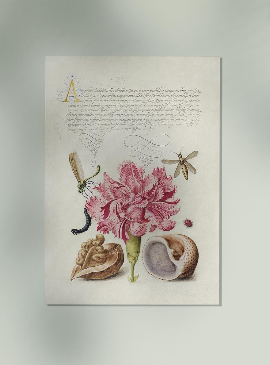 Botanical Calligraphy Poster Nr 8