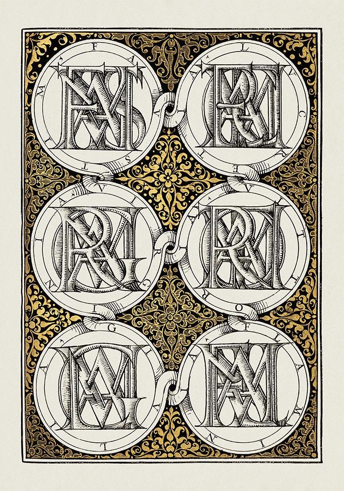 Botanical Calligraphy Poster Nr 10