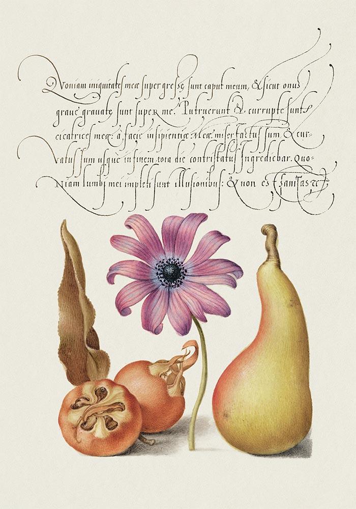 Botanical Calligraphy Poster Nr 11