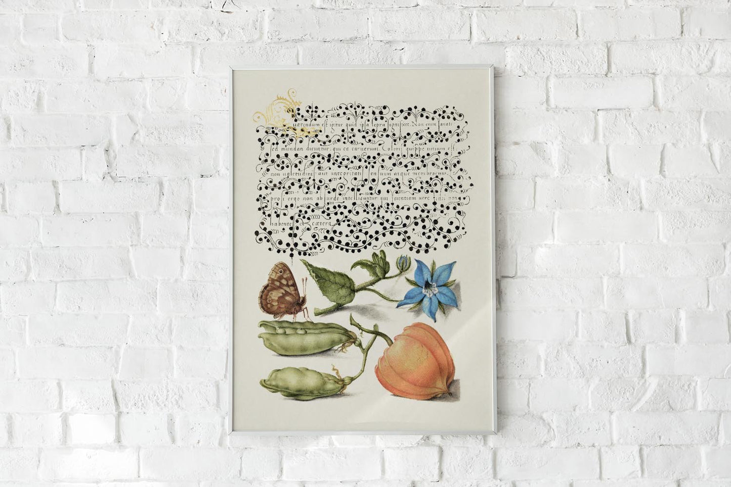 Botanical Calligraphy Poster Nr 12