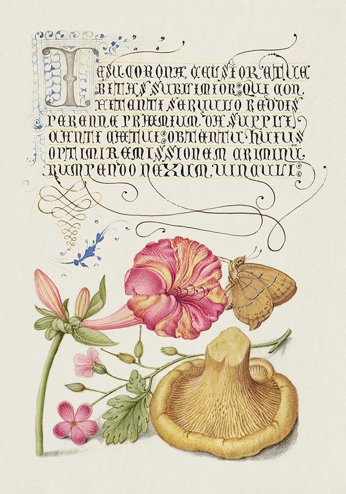 Botanical Calligraphy Poster Nr 13