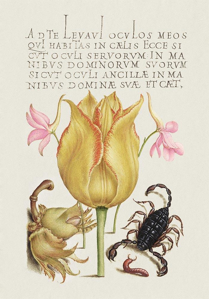 Botanical Calligraphy Poster Nr 16