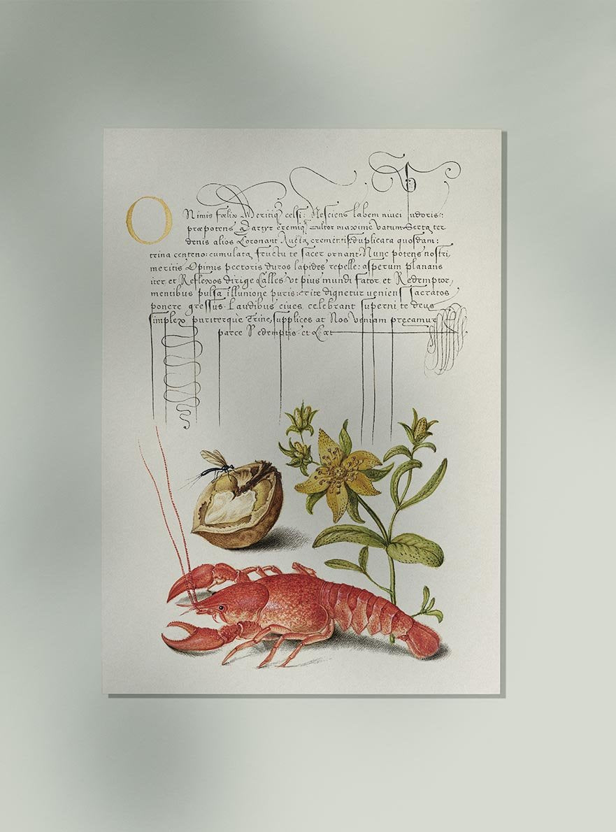 Botanical Calligraphy Poster Nr 18