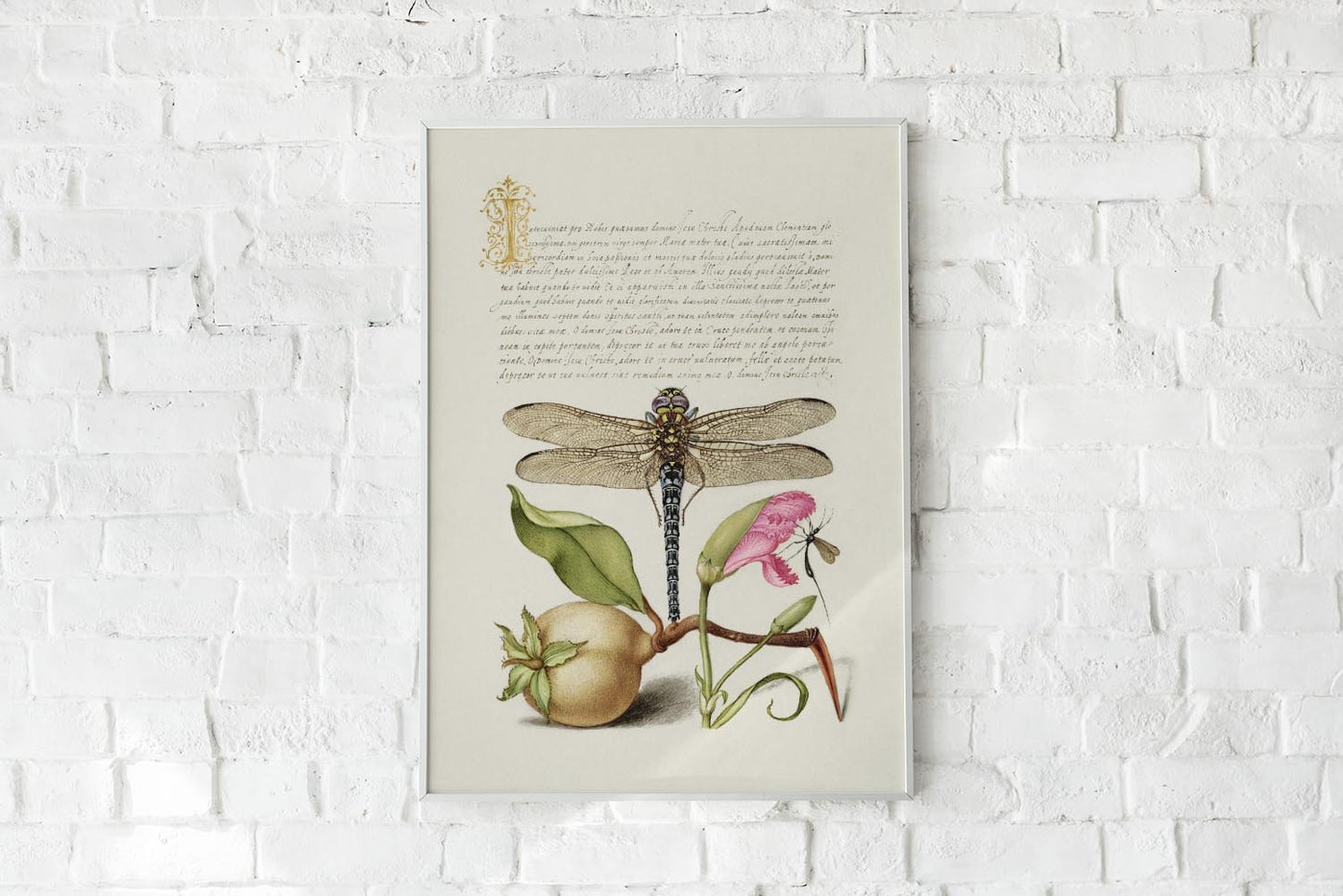 Botanical Calligraphy Poster Nr 19