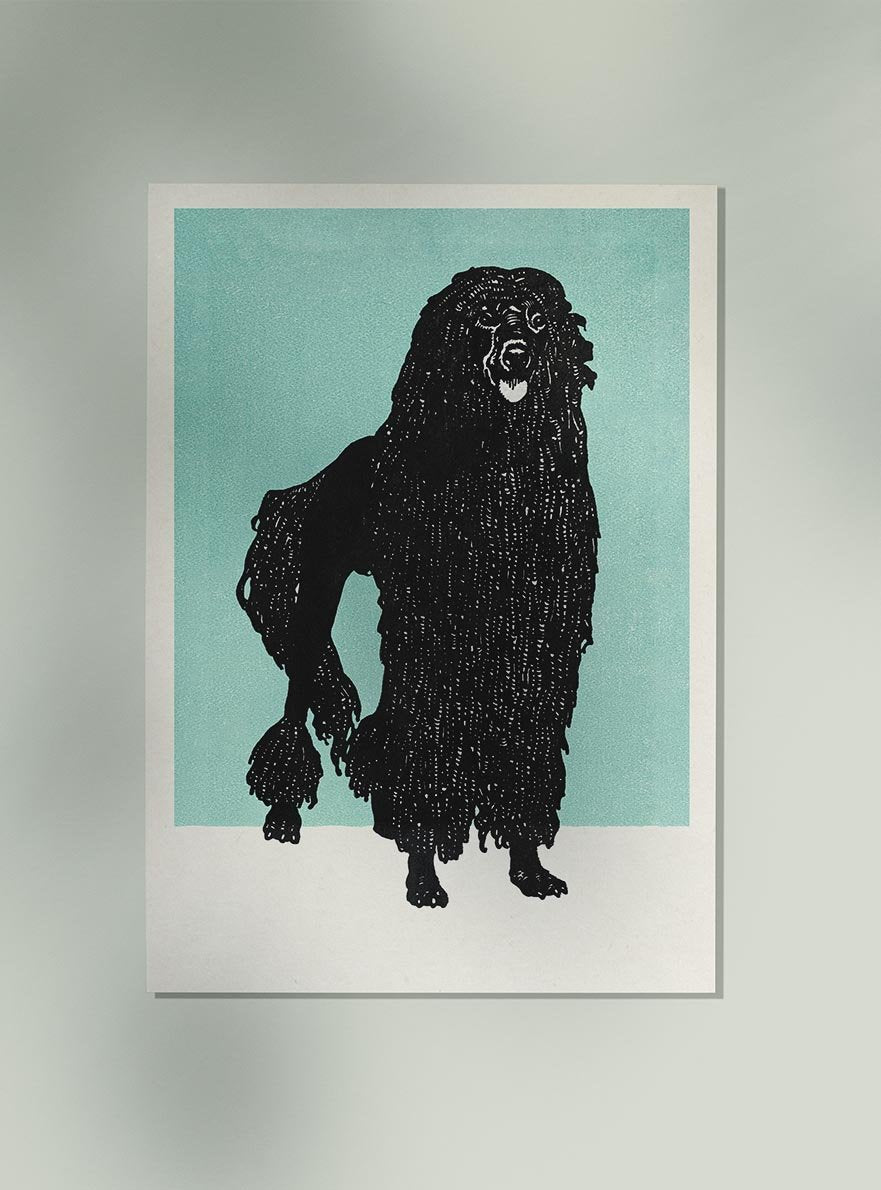 Poodle by Moritz Jung