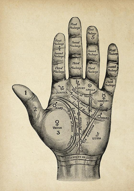 Vintage Mystical Hand - Lovely poster of a Palmistry Chart - perfect for your room decor