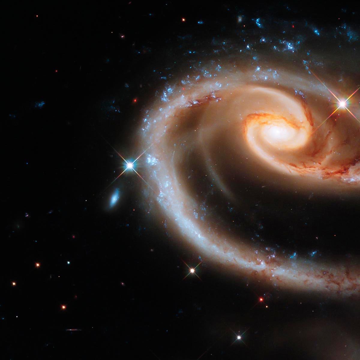 Rose of Galaxies by NASA