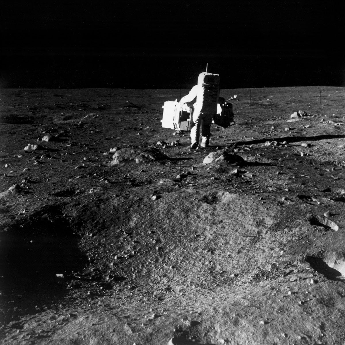 Astronaut Edwin E. Aldrin by NASA