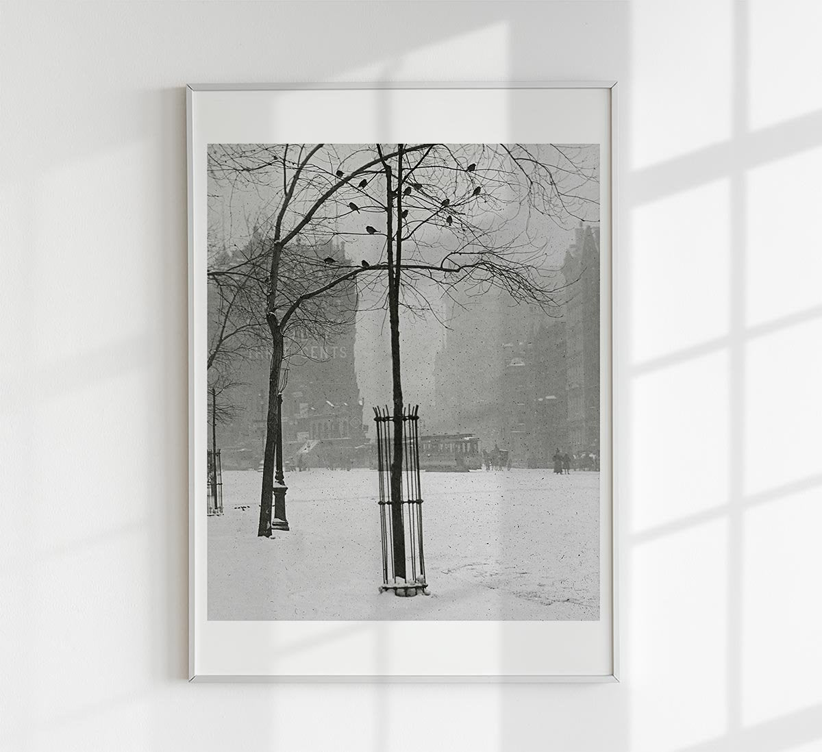 Tree in Snow by Alfred Steglitz