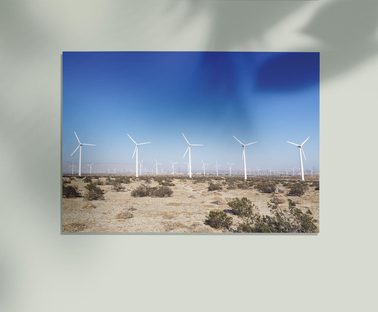 Wind Turbines in the Carolina Desert by Carol M. Highsmith