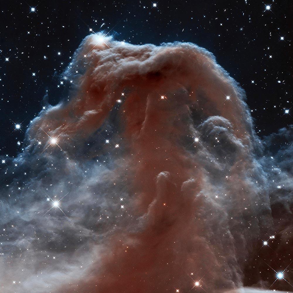 Backlit wisps along the Horsehead Nebula's upper ridge are being illuminated by Sigma Orionis, NASA