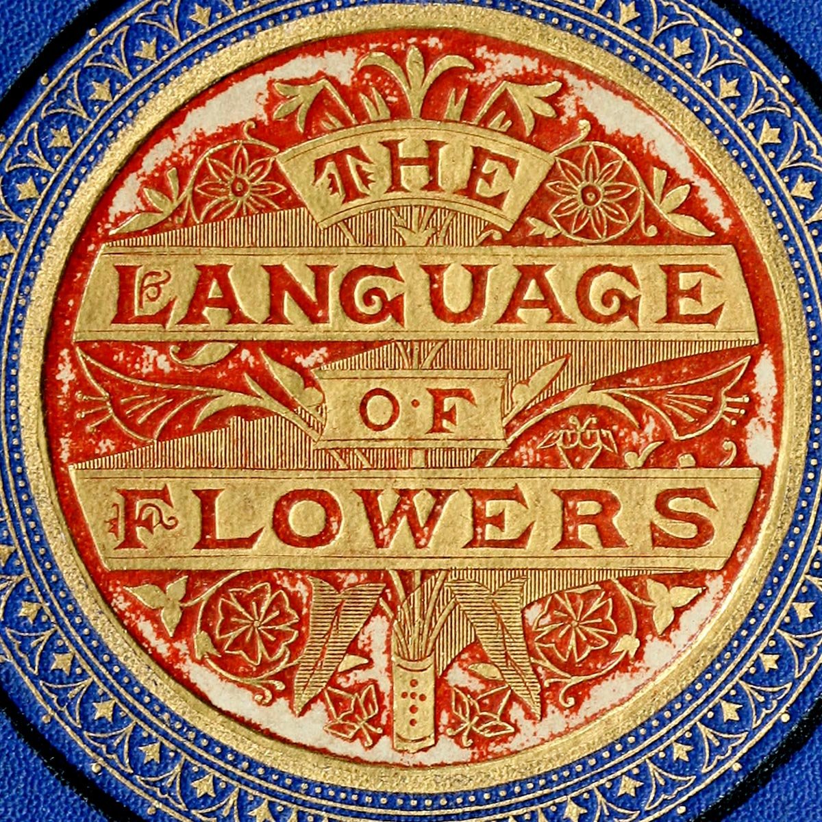The Language of Flowers Book Cover