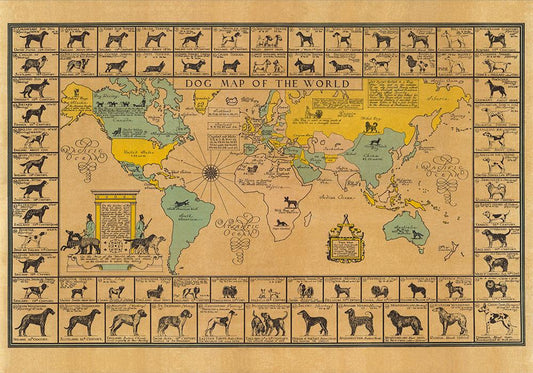 Dogs of the World Map Poster - Perfect for Living Room and Office !