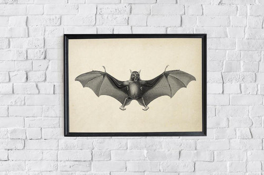 Antique Big Bat Poster