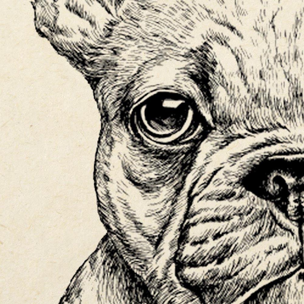 Antique French Bulldog Poster